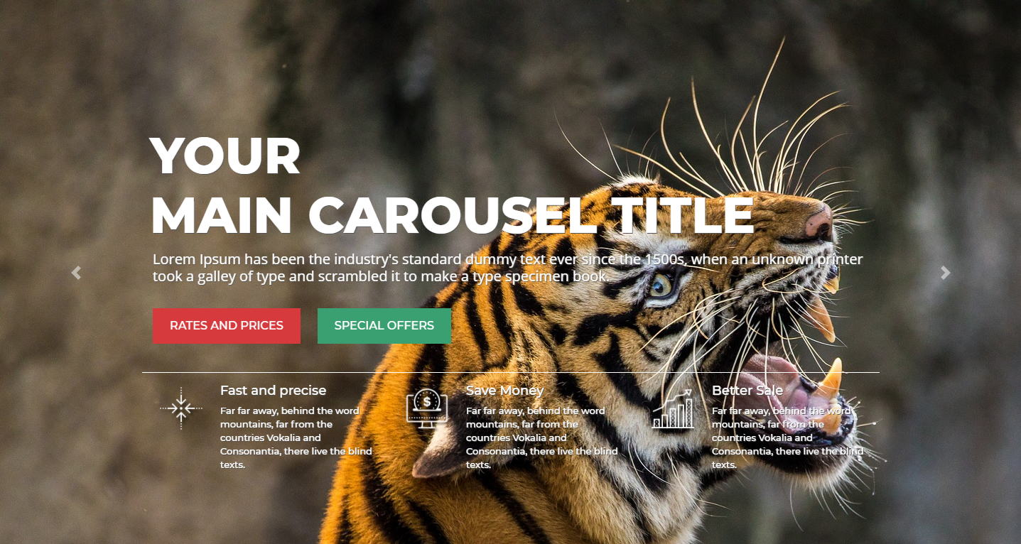 Premium Carousel